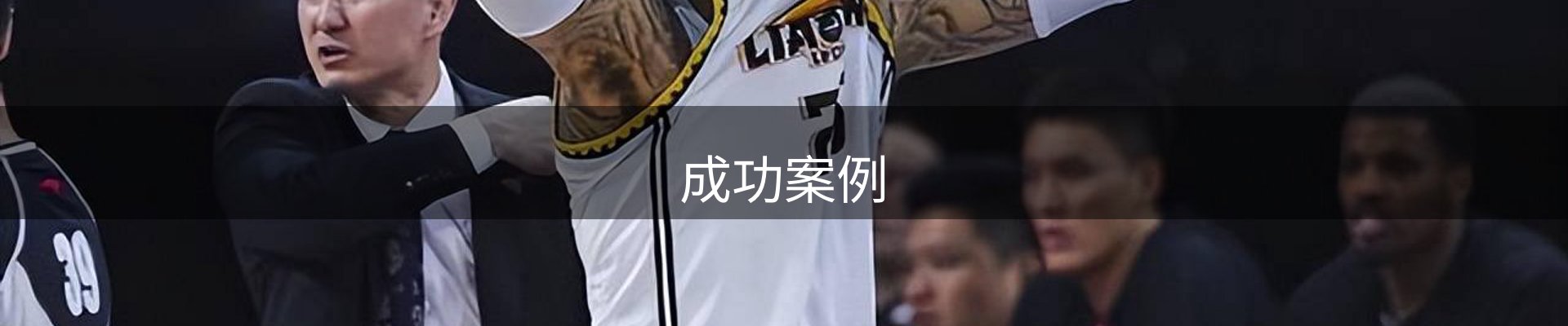 成功案例